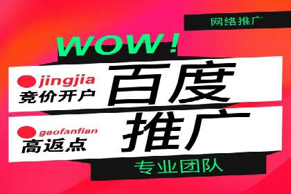 百度竞价托管运营在电商行业的成功应用